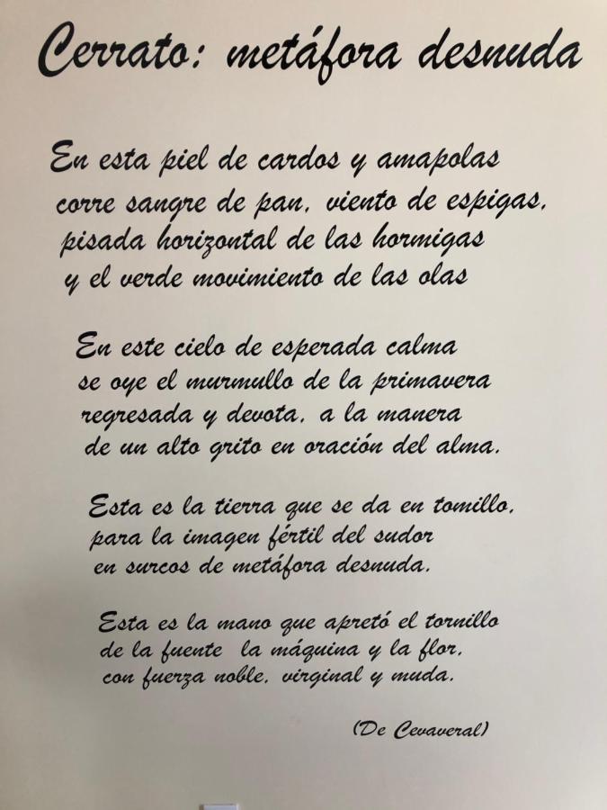Apartamentos Turisticos Escorraladas Baltanás 外观 照片